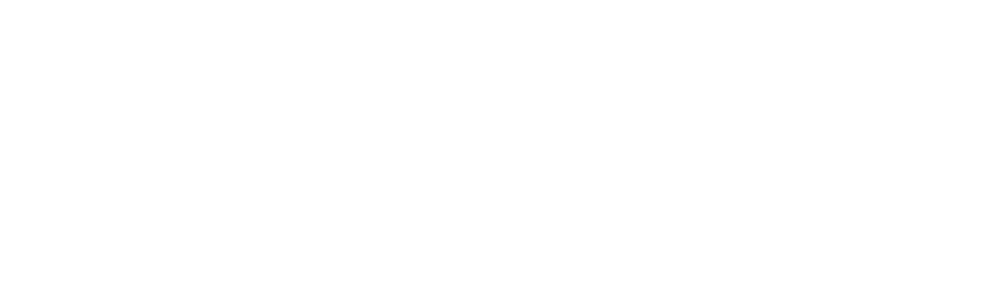 Agisoft Metashape